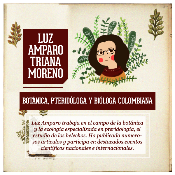 https://karisma.org.co/wp-content/uploads/2017/03/Luz-Amparo-Triana.png